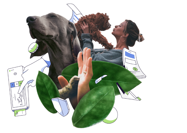 dog grooming appointment software